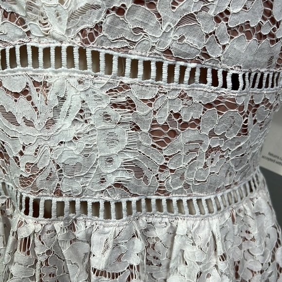 NWT Tobi Lace Midi Dress Fit Flare Cream Lace Nude Underlining Large - Picture 7 of 11